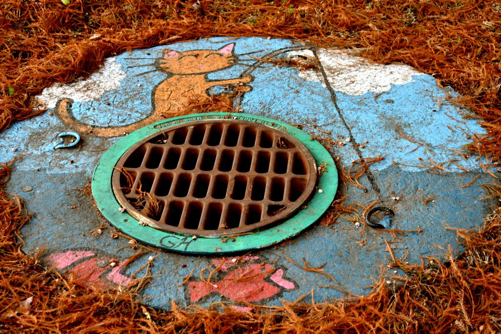 Circling The Drain - San Francisco And Marin Intergroup | Central Office